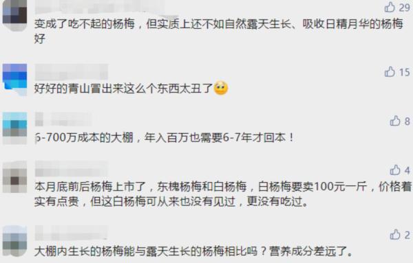 建筑设计师排队打卡！这几天，杭州临安一处“杨梅大棚”意外火了