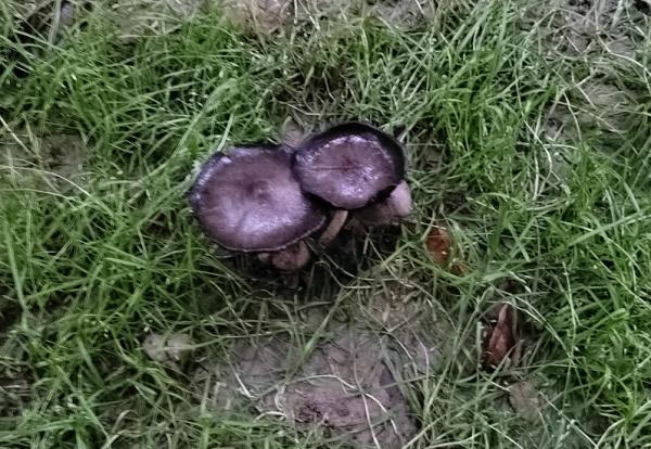 紧急提醒！发现这个，千万不要碰