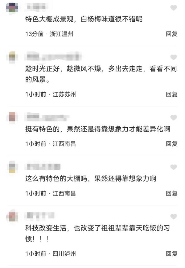 建筑设计师排队打卡！这几天，杭州临安一处“杨梅大棚”意外火了
