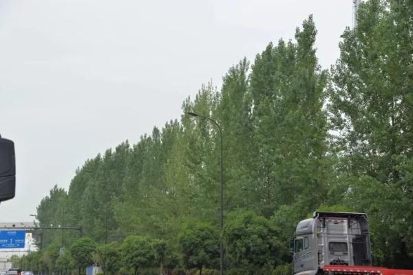 危险! 当心成都空气中这种东西 危险! 当心成都空气中这种东西