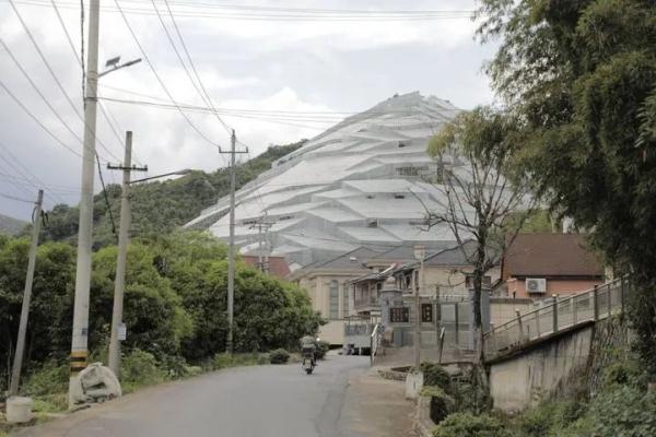 建筑设计师排队打卡！这几天，杭州临安一处“杨梅大棚”意外火了