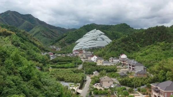 建筑设计师排队打卡！这几天，杭州临安一处“杨梅大棚”意外火了