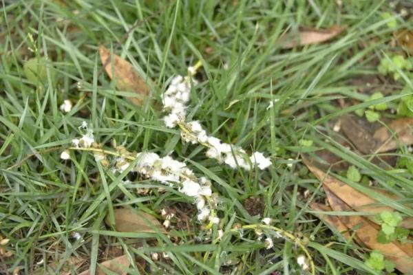 危险! 当心成都空气中这种东西 危险! 当心成都空气中这种东西