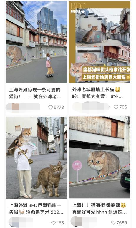 上海有条老街被猫咪“占领”了?这些“猫主子”的故事萌萌哒 上海有条老街被猫咪“占领”了?这些“猫主子”的故事萌萌哒