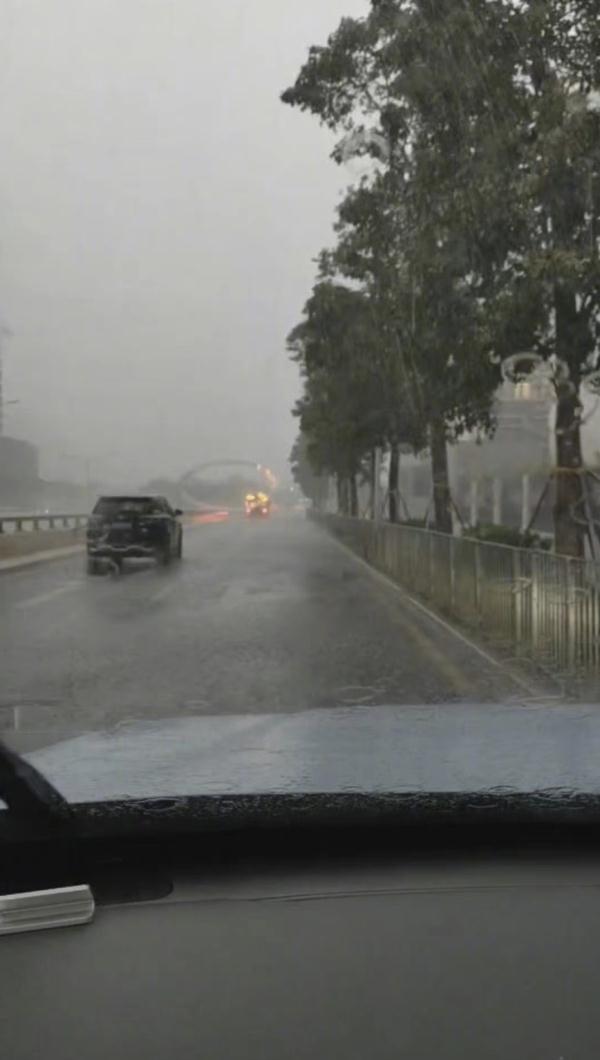 重要提醒！广东多地发布雷雨大风预警信号