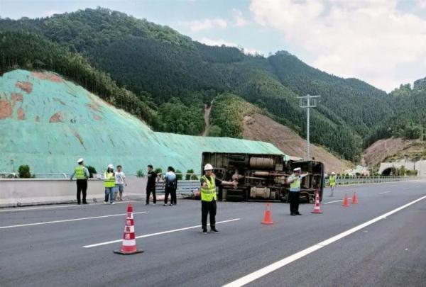 7头猪高速“惊慌失措”，只因驾驶人忘了这动作！