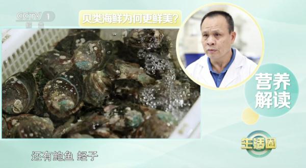 它被誉为“天下第一鲜”，吃它还能提高免疫力！