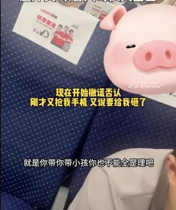 高铁上制止“熊孩子”后被掌掴，女子被罚200元：“坚决不和解”