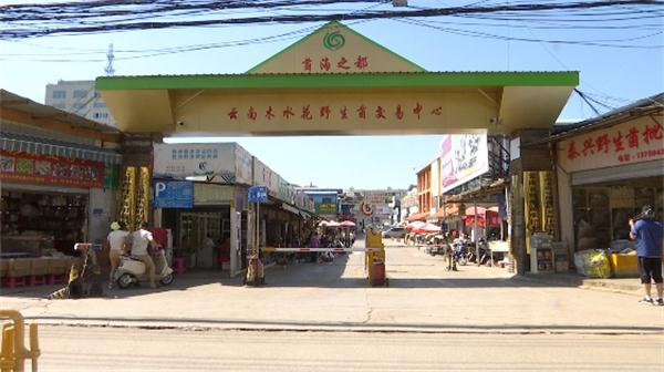 2400元一公斤！“野生菌自由”还得等等