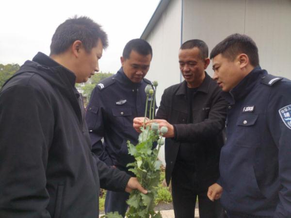 浏阳初中生这一举动，获公安部禁毒局点赞！