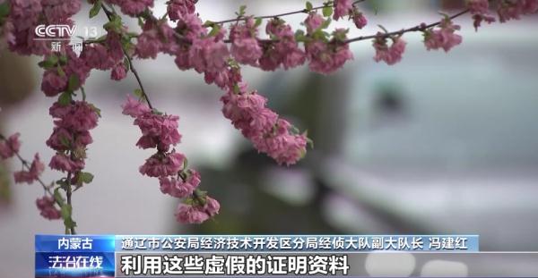 涉案金额逾3亿元！空壳公司牵出虚开发票大案→
