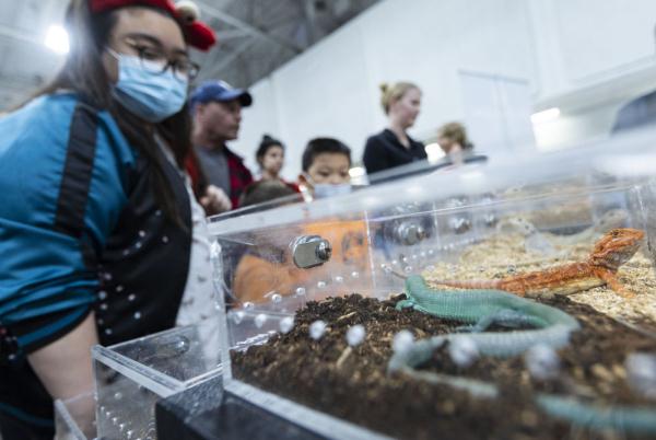 加拿大举办爬行动物与植物展