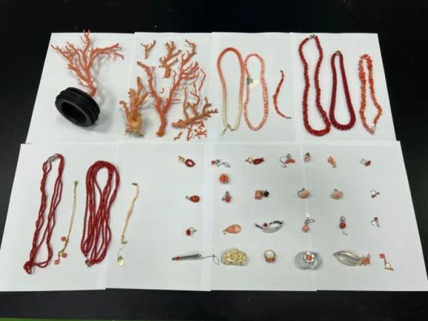 广州海关在进境寄递渠道查获濒危红珊瑚制品44件