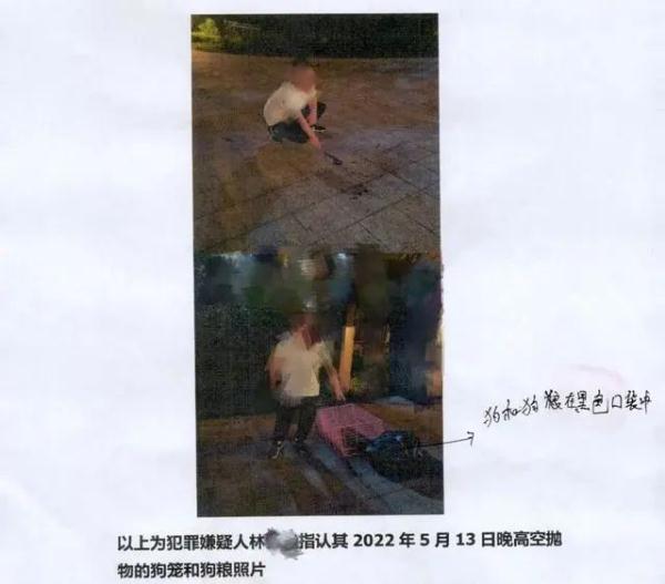 情侣吵架，竟把狗从高楼摔下致死！