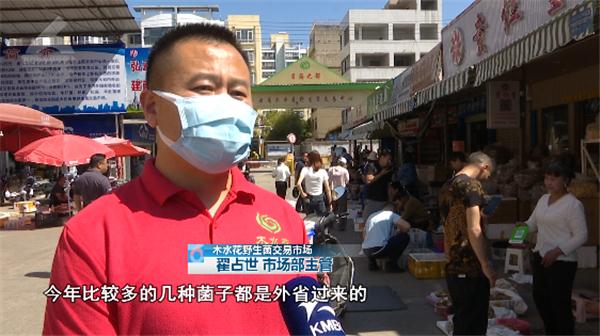 2400元一公斤！“野生菌自由”还得等等