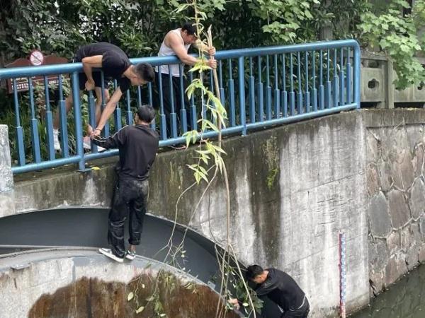 杭州俩小伙意外坠河，神秘高手出现！一问原来是他...