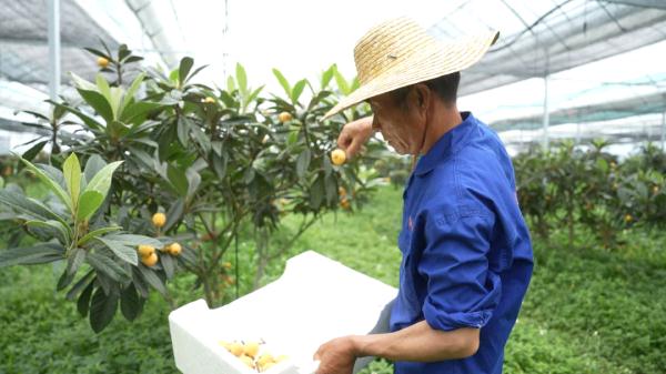 高甜预警！杭州人超爱的这一口来了！价格嘛......