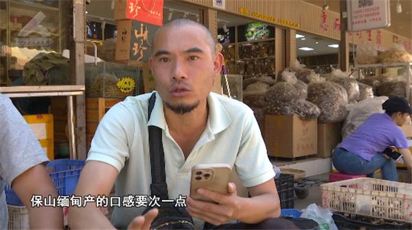 2400元一公斤！“野生菌自由”还得等等