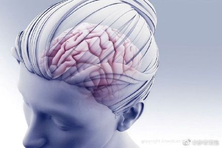 研究发现大脑停止工作前异常活跃 研究发现大脑停止工作前异常活跃