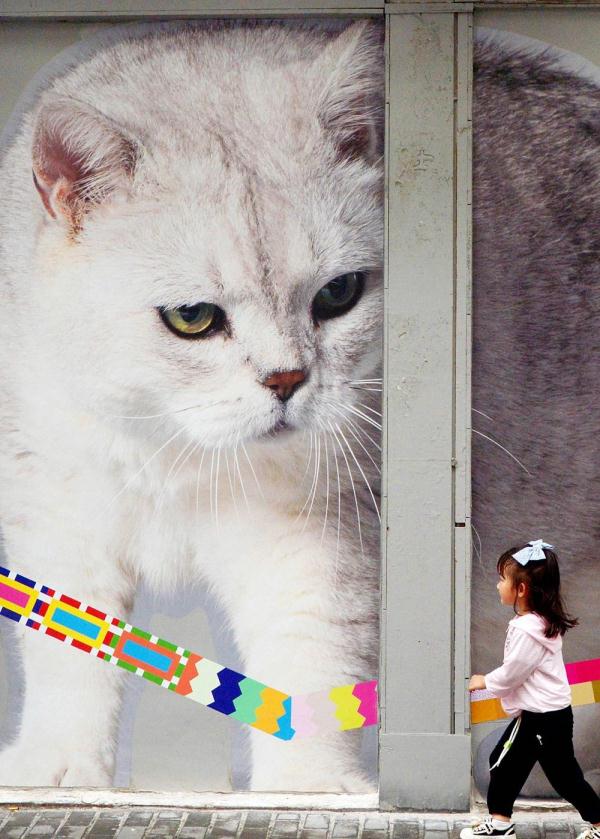 外滩这条老街被萌猫“攻占”了