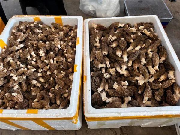 2000-2400元/公斤!昆明市民:吓得不敢吃……