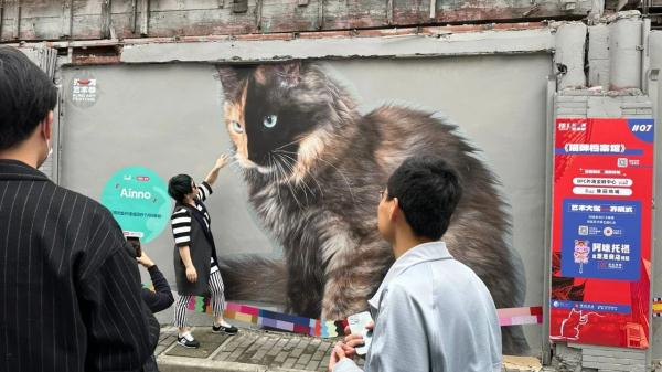 外滩这条老街被萌猫“攻占”了