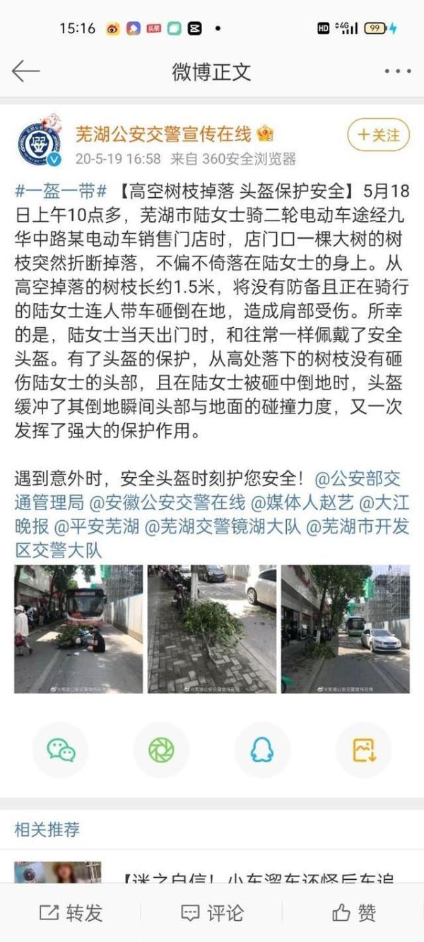 “风”来横祸？芜湖一棵倒树砸伤两行人