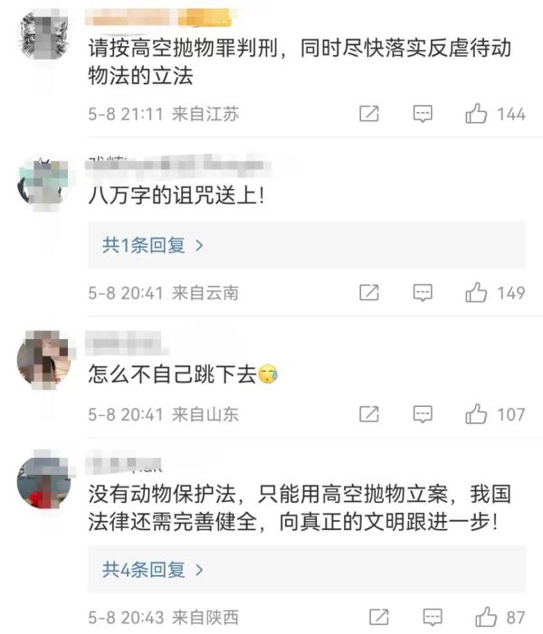 情侣吵架，居然把狗从8楼扔下？警方通报→