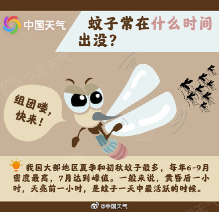 被蚊子咬是夏天专属的痛