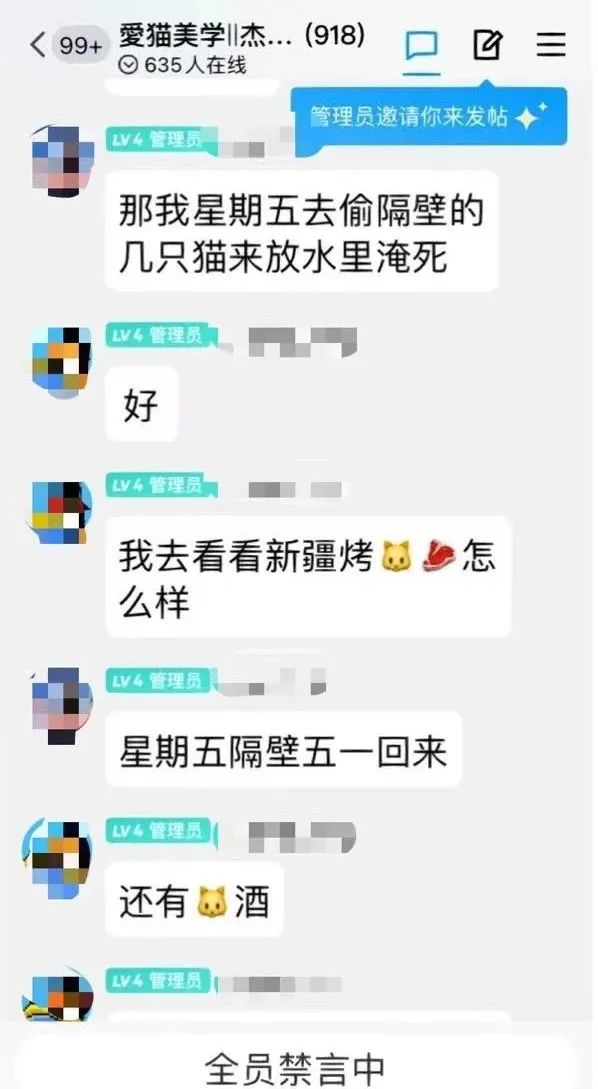 可以不爱，请勿伤害！“处刑式虐猫”可憎，是向人类良知挑战