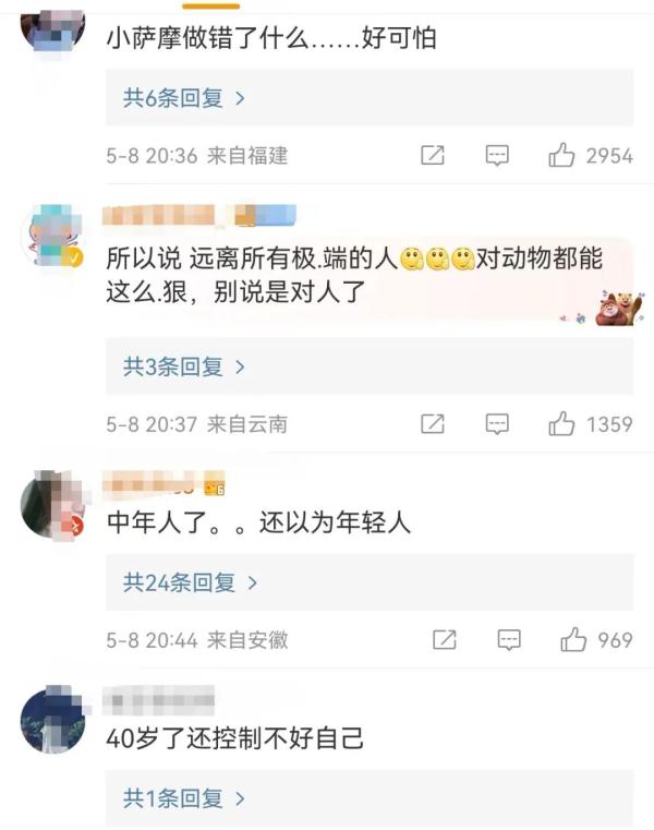 情侣吵架，居然把狗从8楼扔下？警方通报→