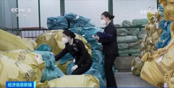 “饼干”变甲虫？！海关最新查获，最长16厘米