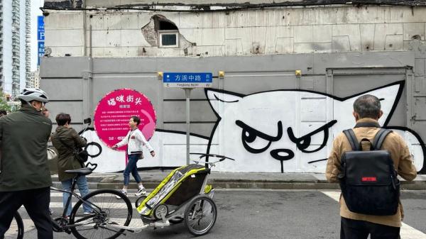 外滩这条老街被萌猫“攻占”了