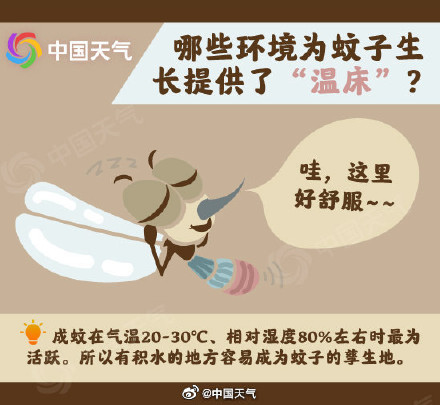 被蚊子咬是夏天专属的痛