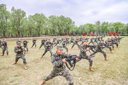 新战友,你拼搏的样子真帅! 新战友,你拼搏的样子真帅!