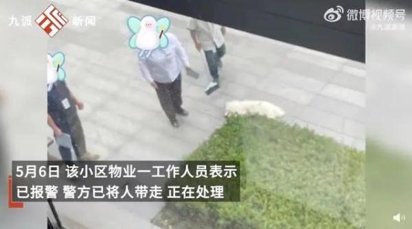 情侣吵架，居然把狗从8楼扔下？警方通报→