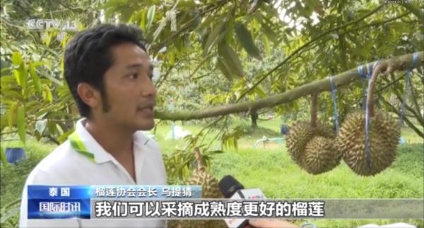 大降价!“五一”后它迎来价格“腰斩”! 大降价!“五一”后它迎来价格“腰斩”!