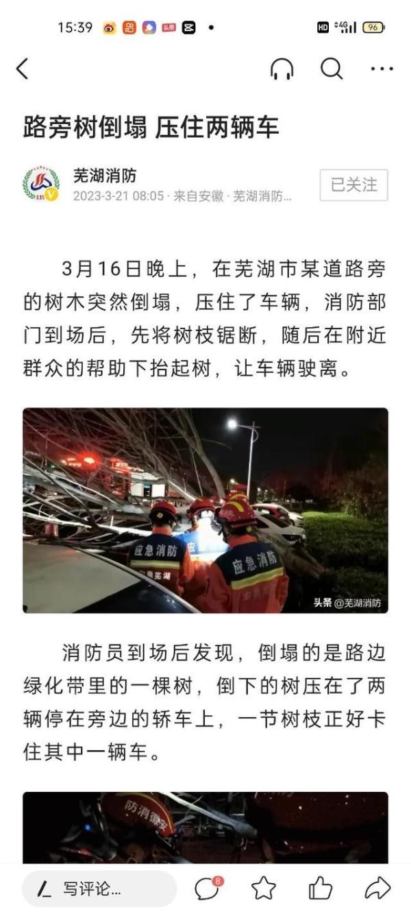 “风”来横祸？芜湖一棵倒树砸伤两行人