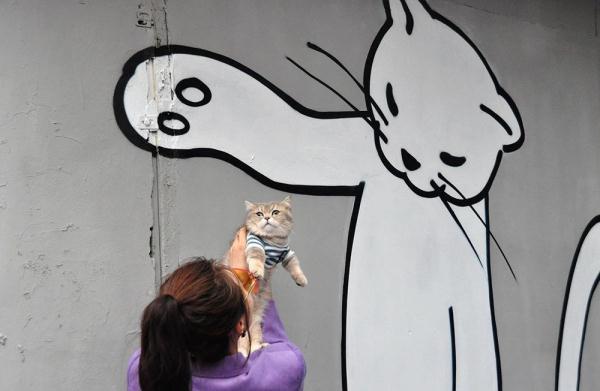 外滩这条老街被萌猫“攻占”了