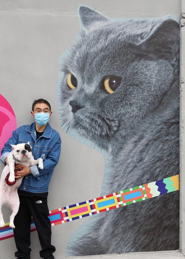 外滩这条老街被萌猫“攻占”了