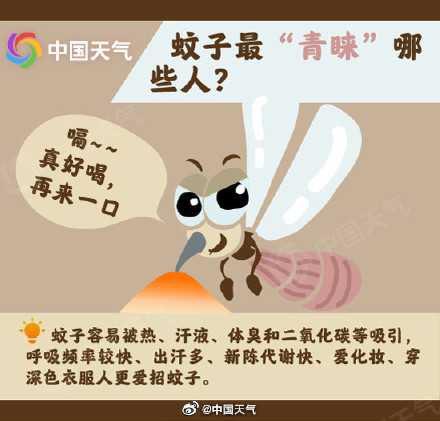 被蚊子咬是夏天专属的痛