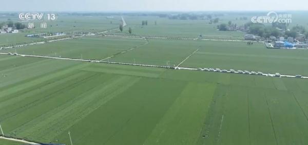 在希望的田野上 | “调优、调新、调绿” 探寻麦田里的科技“密码”