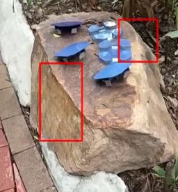 匪夷所思！广州一小区竟有人放生......