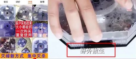 匪夷所思！广州一小区竟有人放生......