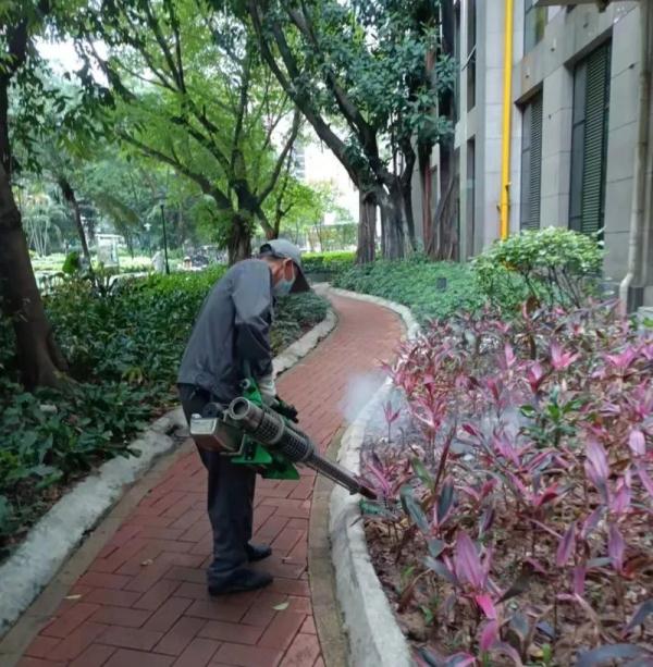 广州一小区有人“放生蟑螂”？疾控专家提醒