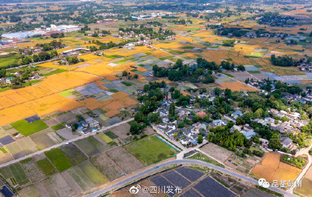 风吹麦浪！“天府粮仓”风光美……