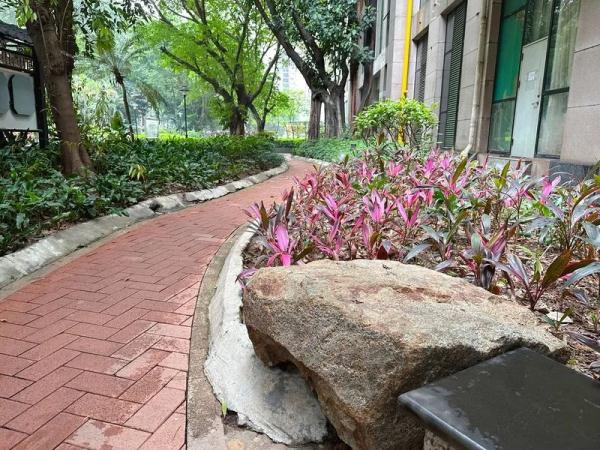 广州一小区有人“放生蟑螂”？疾控专家提醒