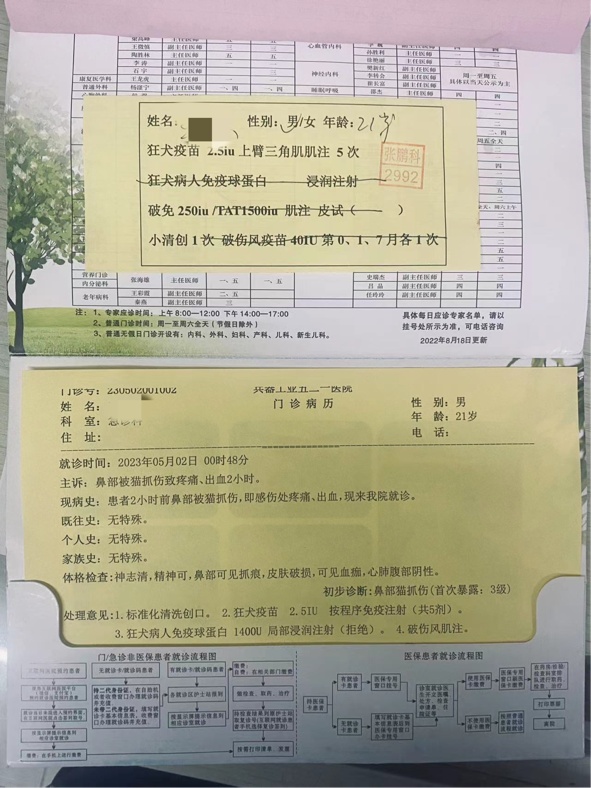 流浪猫饭店内抓伤人，责任究竟谁来担？