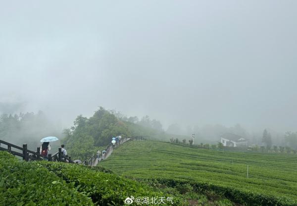 直奔30℃+!湖北的夏天要来了 直奔30℃+!湖北的夏天要来了