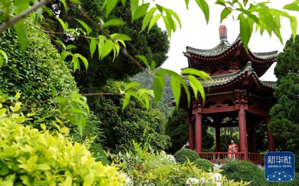 打卡古都西安的文化地标——华清宫